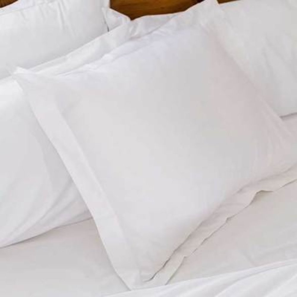 NWT Organic Cotton Sham (Single) - Snow (Euro)